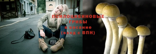молекула духа Зеленодольск