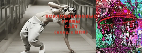 молекула духа Зеленодольск